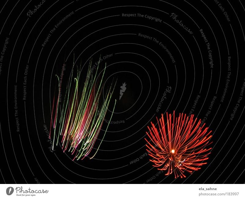 fireworks flower_2 Farbfoto mehrfarbig Luftaufnahme Muster Strukturen & Formen Nacht Langzeitbelichtung Blick nach oben Silvester u. Neujahr ästhetisch bizarr