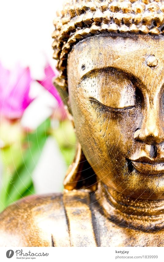 Buddha Buddhismus siddhartha Religion & Glaube Meditation Wellness Erkenntnis Statue ruhig Massage Erholung Gesicht China Asien Gebet Körper kultig Kunst Kultur