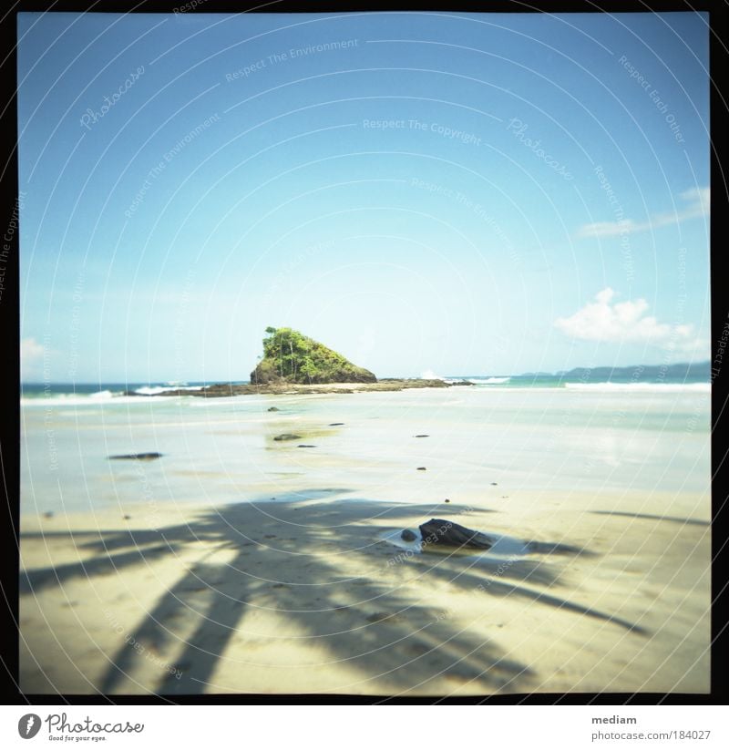 Schatzinsel Ferien & Urlaub & Reisen Freiheit Sommer Strand Meer Insel Wellen Philippinen Südostasien Natur Sand Himmel Wolkenloser Himmel Horizont Sonnenlicht