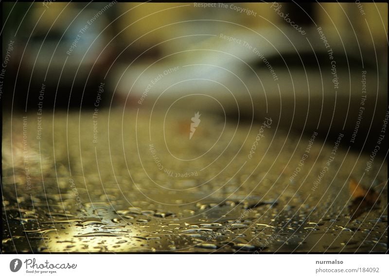 602, Wetterrückstand Farbfoto abstrakt Strukturen & Formen Morgen Unschärfe Motorsport Kunst Umwelt Natur Herbst Klima schlechtes Wetter Unwetter Regen