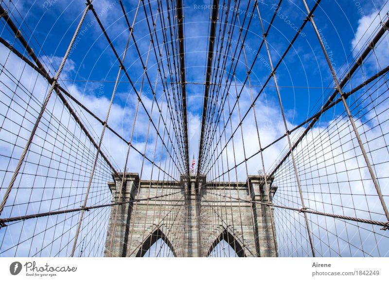 da soll sich noch einer auskennen Himmel Schönes Wetter New York City USA Amerika Brücke Sehenswürdigkeit Wahrzeichen Brooklyn Bridge Stein Metall Zeichen Linie
