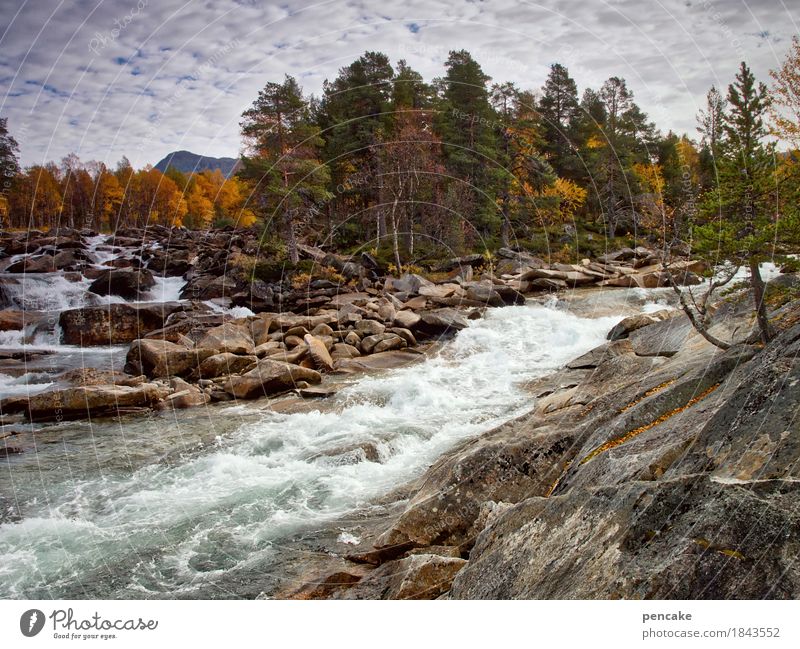 stromanbieter Natur Landschaft Urelemente Wasser Himmel Wolken Herbst Felsen Berge u. Gebirge Wellen Fluss Wasserfall fantastisch frisch groß Geschwindigkeit