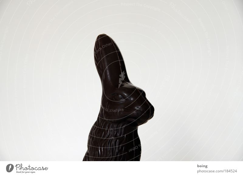 mein erster Schokoladenweihnachtsmann Hintergrund neutral Lebensmittel Dessert Süßwaren Ostern Osterhase Puppentheater Hase & Kaninchen Zeichen braun Vorfreude
