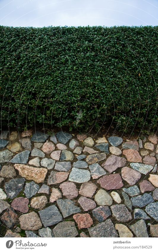 Unmultiplizierte Ebene Stein Mauer gemauert Bodenbelag Hecke Park Wiese Wachstum Gartenbau privat Strukturen & Formen Ordnung 3 Teilung Textfreiraum