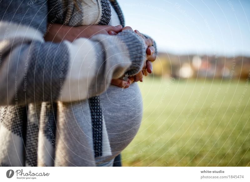 Vorfreude Mensch feminin Eltern Erwachsene Vertrauen Sicherheit Schutz Geborgenheit schwanger Freude Glück Hand Baby Babybauch Bauch Silhouette