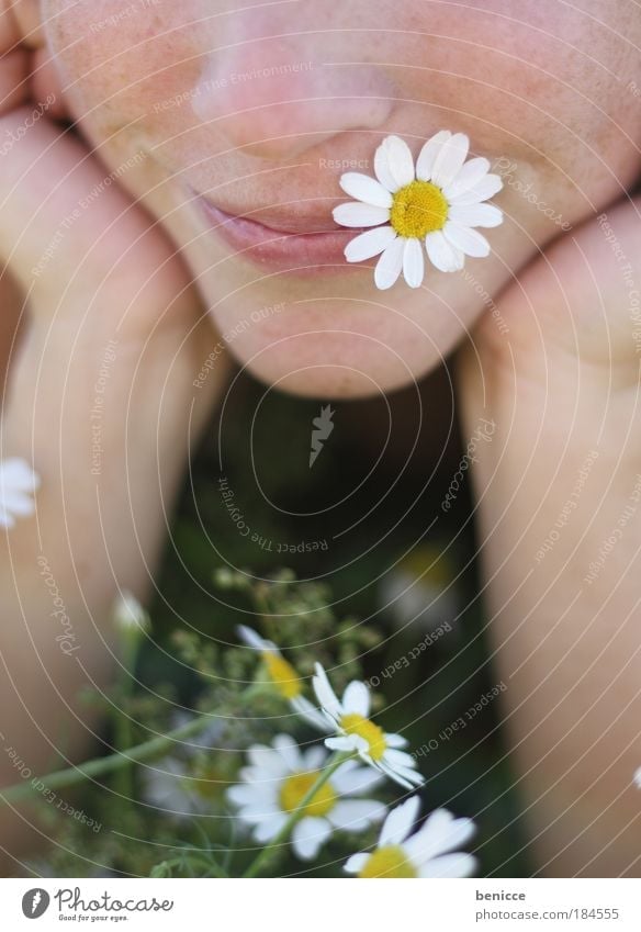 a andre wiesengaudi Wiese Frau Blume Instant-Messaging Mund Lippen lachen Lächeln Frühling Blumenwiese liegen Erholung Verliebtheit Blüte Kamille Sommer Geruch