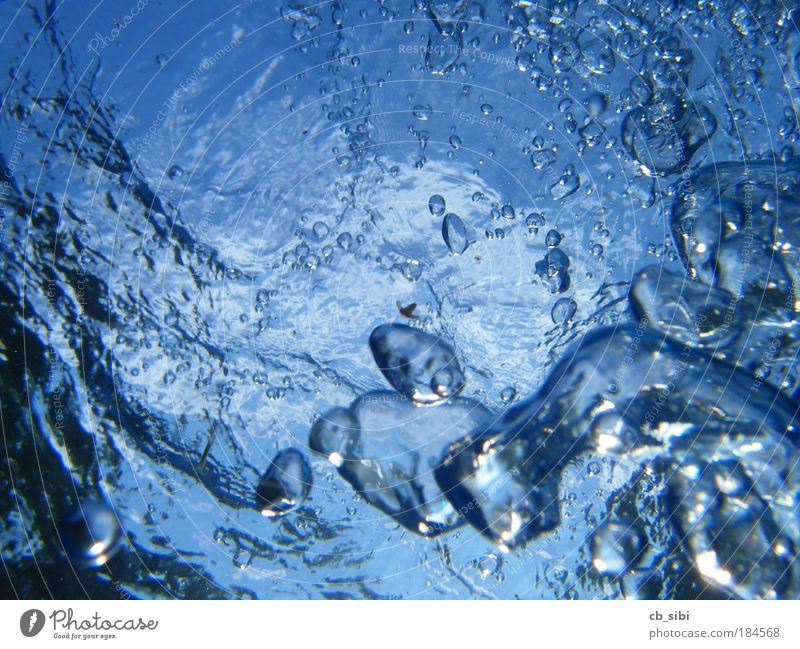 Blasen.... Unterwasseraufnahme Menschenleer tauchen Schwimmbad Urelemente Luft Wasser Sommer Meer See Schaumblase blau Coolness
