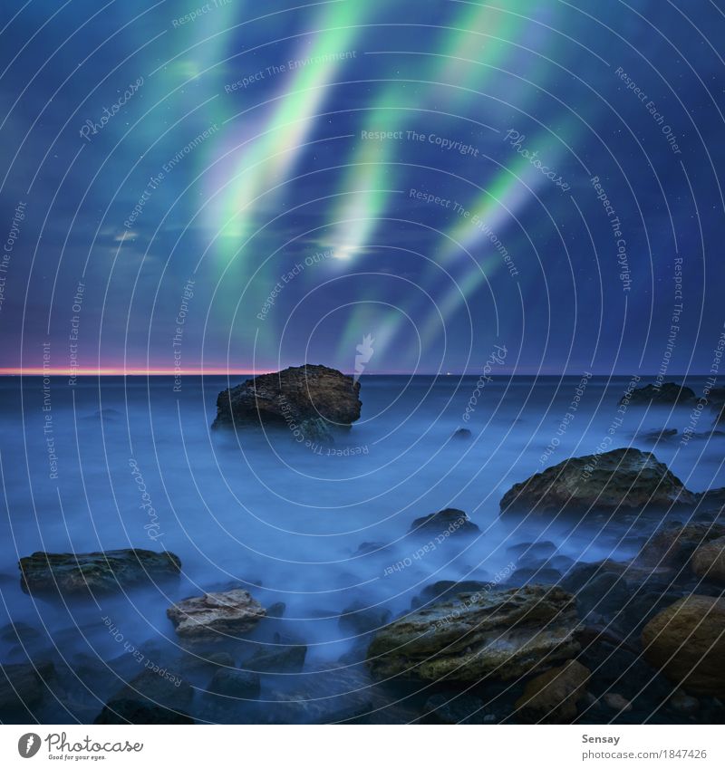 Aurora Borealis über dem Meer Winter Natur Landschaft Himmel See dunkel hell natürlich grün Farbe nördlich Island borealis Hintergrund Norden Schweden Raum kalt