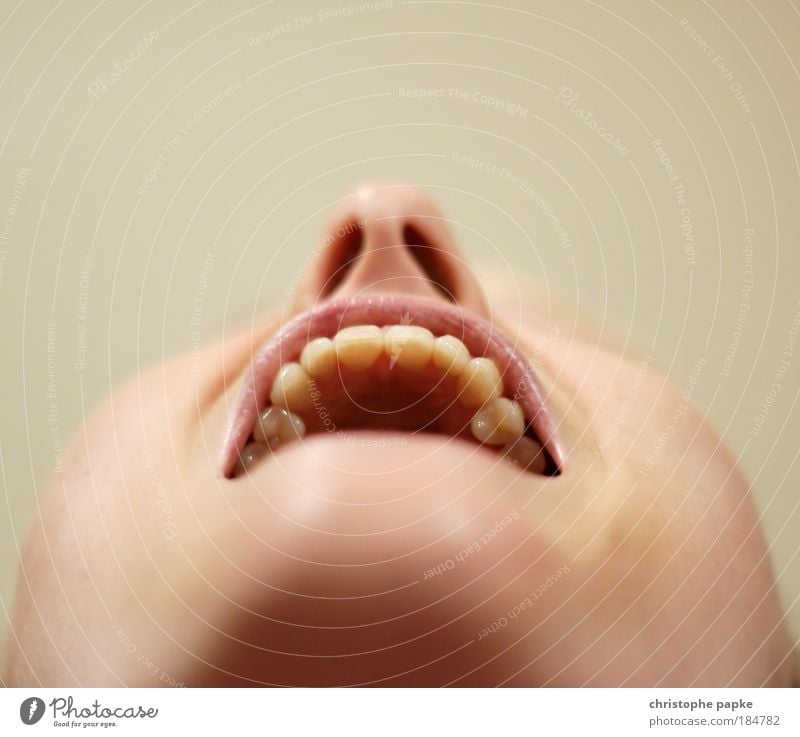 Nich lang schnacken... Arzt Mensch Junge Frau Jugendliche Erwachsene Gesicht Nase Mund Lippen Zähne 1 18-30 Jahre lachen schreien Sauberkeit Angst skurril