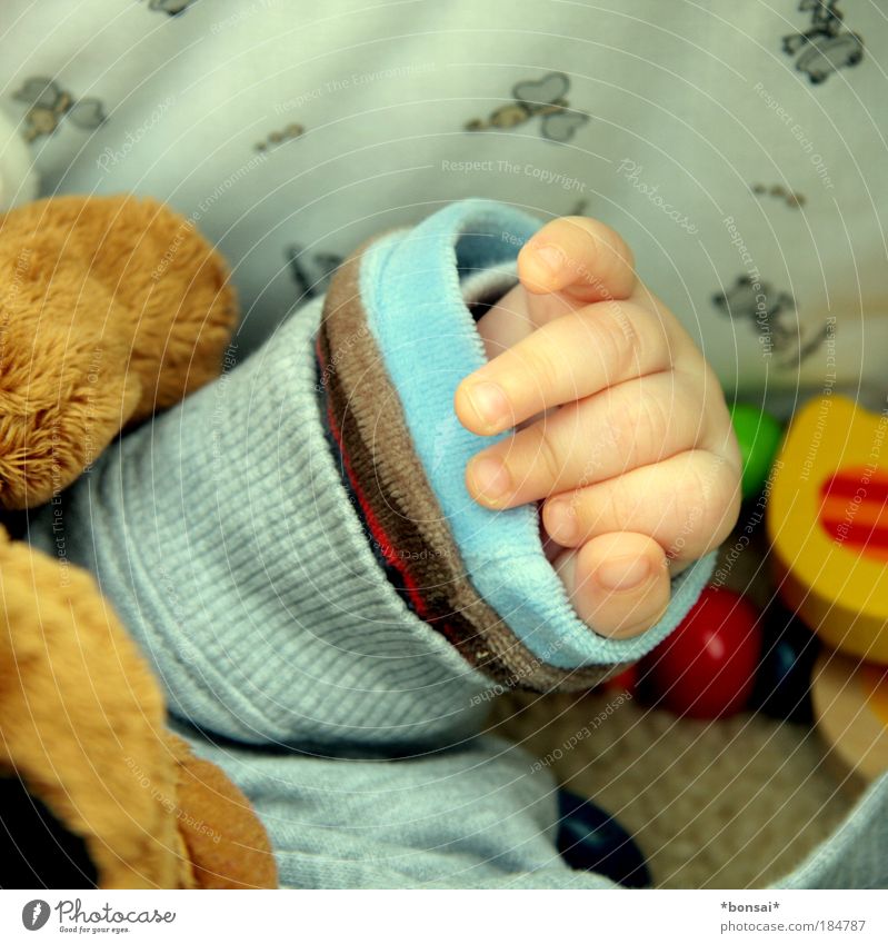protection needed Baby Hand Finger 0-12 Monate Kinderwagen Pullover Jacke Spielzeug Teddybär Stofftiere liegen schlafen klein nah Wärme mehrfarbig Glück