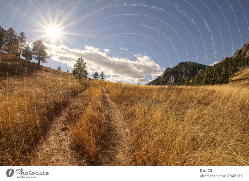 Wandern in Colorado. Ferien & Urlaub & Reisen Ferne Freiheit Berge u. Gebirge wandern Landschaft Himmel Wolken Sonne Sonnenlicht Herbst Schönes Wetter Wiese