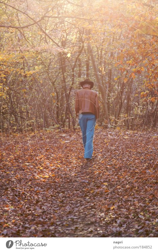 Herbstklischee Farbfoto Außenaufnahme Sonnenaufgang Sonnenuntergang Totale maskulin Mann Erwachsene 1 Mensch Wald Hut Denken gehen laufen groß Wärme braun gelb