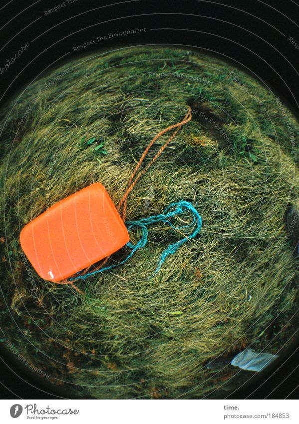 Planet Trash Seil Wiese Küste Seeufer Kugel Schnur liegen Wachstum trashig Kanister orange Müll Dinge Rasen angeleint Hochwasser Lomografie Fischauge