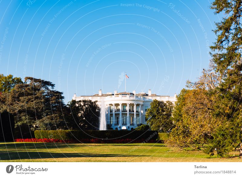 The White House Washington USA Sehenswürdigkeit Weißes Haus Blick stehen Aggression authentisch außergewöhnlich Bekanntheit Coolness gigantisch natürlich