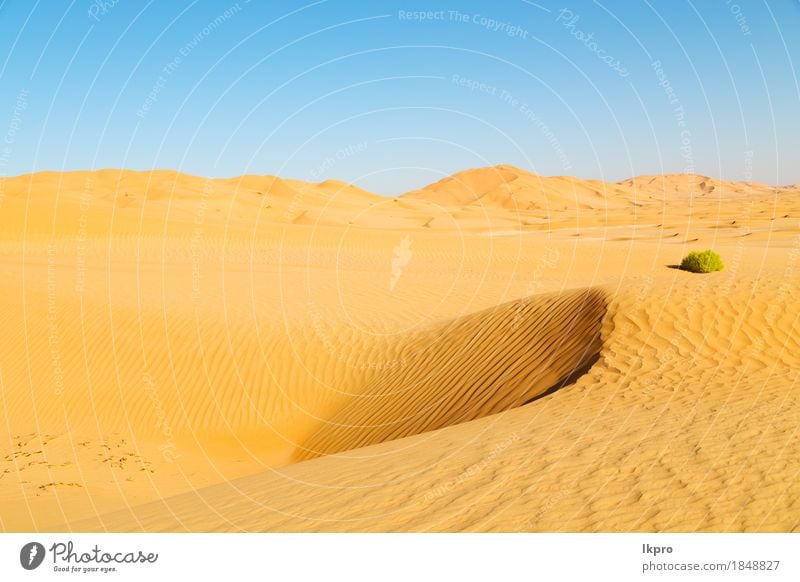 und Outdoor-Sanddüne in Oman alten Wüste Rub al Khali schön Ferien & Urlaub & Reisen Tourismus Abenteuer Safari Sommer Sonne Natur Landschaft Himmel Horizont