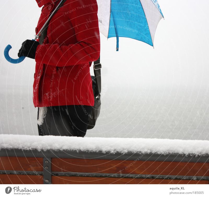 rot, blau, weiß elegant Hose Jacke Mantel Handschuhe Regenschirm laufen Bank Schnee Schneefall Schneeflocke Wasser Seeufer Tasche Nebelbank Nebelschleier