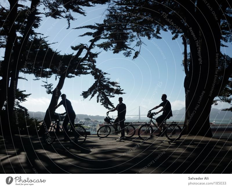 Justus Jonas, Peter Shaw, Bob Andrews Ausflug Sightseeing Fahrradtour Wald San Francisco Golden Gate Bridge USA Amerika entdecken Erholung fahren Bekanntheit