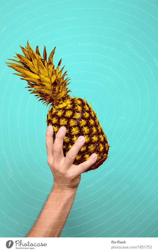 Ananas machen VI Lebensmittel Frucht Bioprodukte Vegetarische Ernährung Diät Design exotisch Wellness Freizeit & Hobby Spielen Erntedankfest Trainer