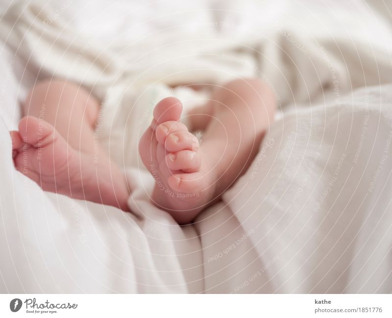 Baby DIN 3198 Mensch Körper Haut 0-12 Monate schlafen frisch Gesundheit nackt niedlich weiß Gefühle Vertrauen Geborgenheit ruhig Beginn Sicherheit Windeln