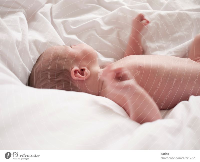 Baby DIN 3219 Mensch Körper Haut 0-12 Monate schlafen nackt Sauberkeit Gefühle Geborgenheit Reinheit Schutz Vertrauen Zufriedenheit neugeboren Farbfoto