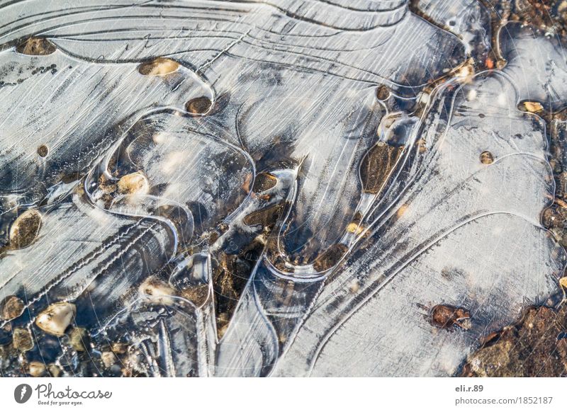 PfützenEis lll Wasser Winter Frost kalt Idylle ruhig Farbfoto Außenaufnahme Nahaufnahme Muster Strukturen & Formen Menschenleer Textfreiraum links