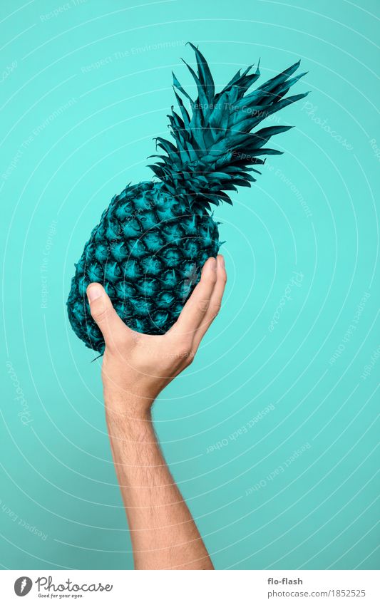 Ananas machen III Frucht Bioprodukte Vegetarische Ernährung Diät Lifestyle kaufen elegant Design exotisch Gesundheit sportlich Wellness Leben Ballsport