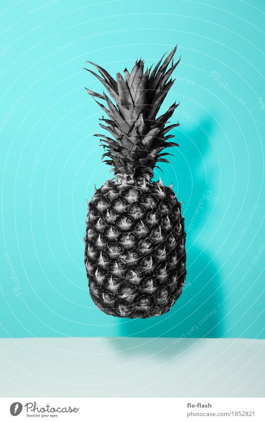 Sättigungszustand Lebensmittel Frucht Ananas Ernährung Bioprodukte Vegetarische Ernährung Diät Asiatische Küche Saft kaufen Design exotisch Wellness