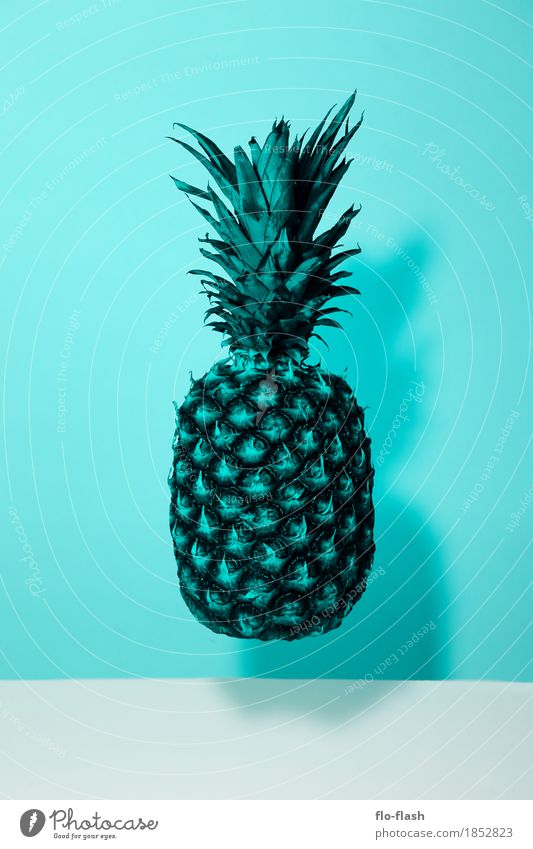 Wie buchstabiert man Wassermelone? Lebensmittel Frucht Ananas Bioprodukte Vegetarische Ernährung Diät kaufen Stil Design exotisch Gesundheit Wellness