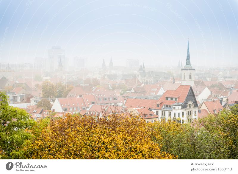 Erfurt im Nebel Herbst Stadt Stadtzentrum Altstadt Haus Kirche Gebäude gelb grün Dach Aussicht Skyline Farbfoto Außenaufnahme Menschenleer Tag Totale