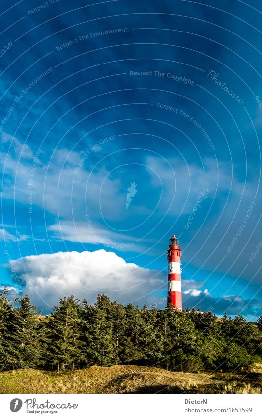 Kontrast Natur Landschaft Himmel Wolken Herbst Wetter Schönes Wetter Baum Wiese Nordsee blau grün rot Leuchtturm Amrum Nordfriesische Inseln Farbfoto mehrfarbig