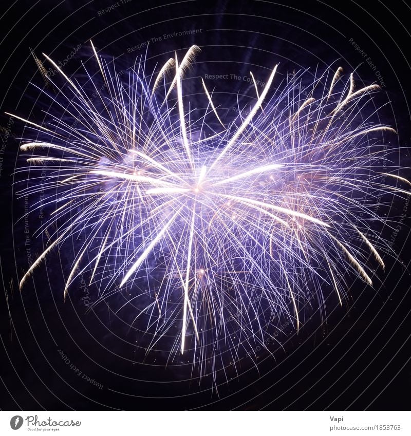 Blaues buntes Feuerwerk Freude Nachtleben Entertainment Party Veranstaltung Feste & Feiern Weihnachten & Advent Silvester u. Neujahr Kunst Show Himmel