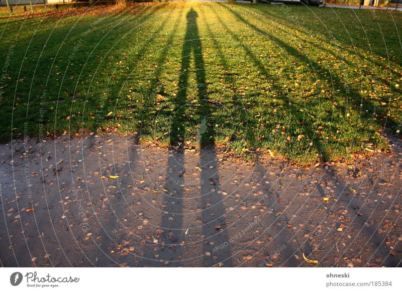 Schattenmann Mensch 1 Erde Herbst Schönes Wetter Pflanze Gras Blatt Wiese grün Farbfoto Außenaufnahme Muster Abend Dämmerung Licht Kontrast Silhouette