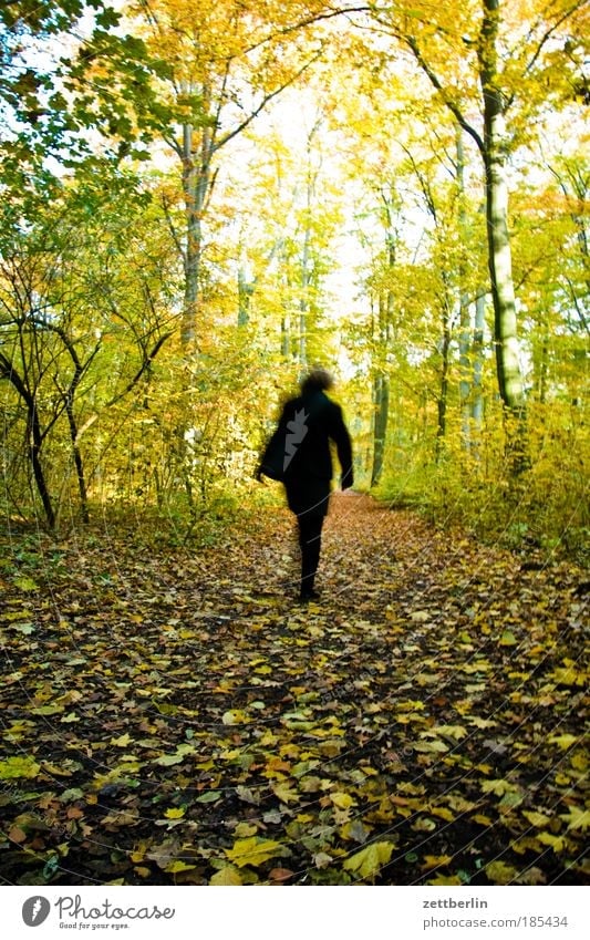 Spazieren Blatt mehrfarbig gold Oktober Herbst herbstlich Jahreszeiten Herbstlaub November plänterwald Mensch Frau laufen Laufsport gehen wandern Rückansicht