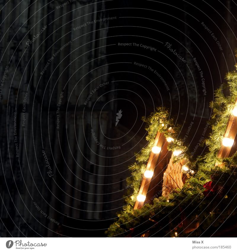 Ulmer Weihnachtsmarkt Nachtleben Feste & Feiern Winter Hütte Kirche Dom leuchten dunkel gigantisch glänzend groß hell schön Stimmung Vorfreude Religion & Glaube