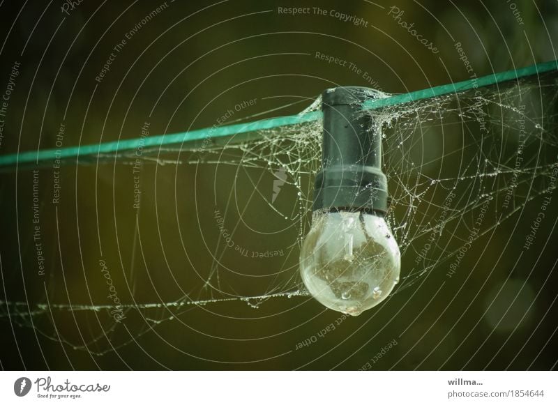 Netzanschluss Glühbirne Energiewirtschaft Energiekrise dunkel Spinnennetz Beleuchtung Beleuchtungselement Außenbeleuchtung versponnen Spinnweben