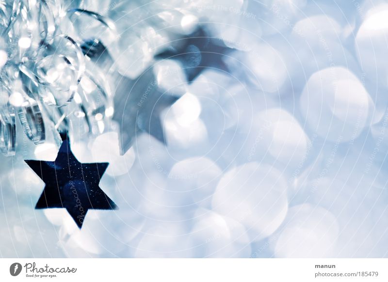 Sternenzeit Feste & Feiern Winter Zeichen Stern (Symbol) Stern von Bethlehem Weihnachtsstern glänzend leuchten Coolness fantastisch Fröhlichkeit frisch kalt