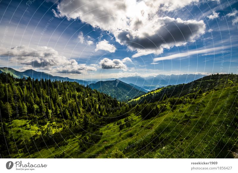 Bergstimmung Landschaft Wolken Sommer Schönes Wetter Alpen Berge u. Gebirge atmen beobachten genießen Blick wandern frei Gesundheit Unendlichkeit Glück schön