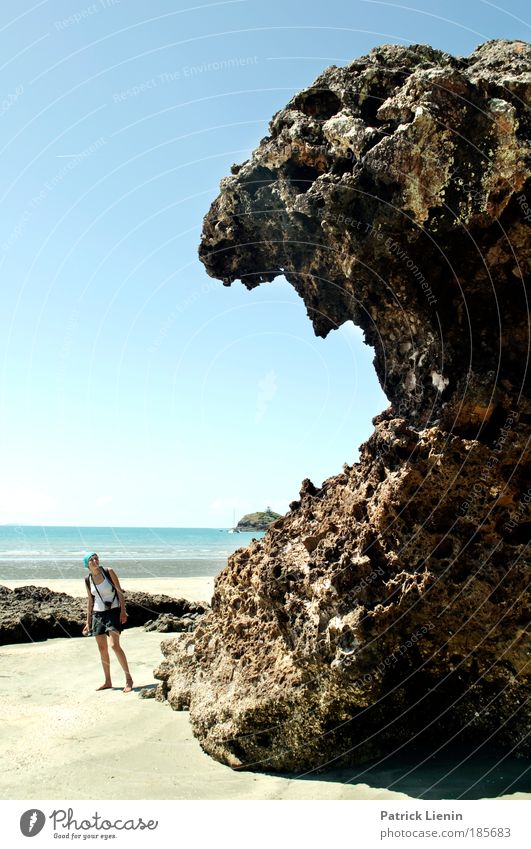 Schafskopf Frau Erwachsene 1 Mensch Natur Landschaft Wolkenloser Himmel Felsen Meer gruselig Küste Australien Queensland Angst Fressen Gebiss groß Sand
