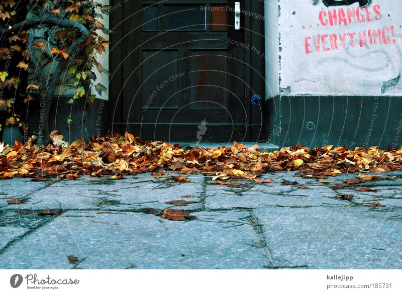klimawandel Umwelt Natur Herbst Klima Klimawandel Baum Blatt Mauer Wand Tür Schriftzeichen Graffiti Häusliches Leben nachhaltig Wandel & Veränderung Revolution