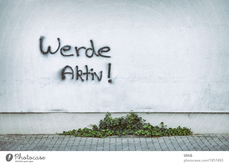 Werde Aktiv Efeu Mauer Wand Graffiti weiß selbstbewußt Tatkraft Verantwortung fleißig Entschlossenheit Stadt Aufruf Copyspace Farbe Hintergrundbild Narrenhände