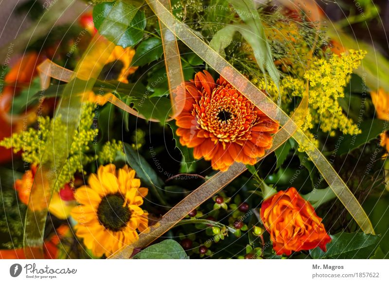 Blumengedeck Pflanze Sommer Dekoration & Verzierung Romantik Design Farbfoto Innenaufnahme Tag Sonnenlicht Schwache Tiefenschärfe Vogelperspektive