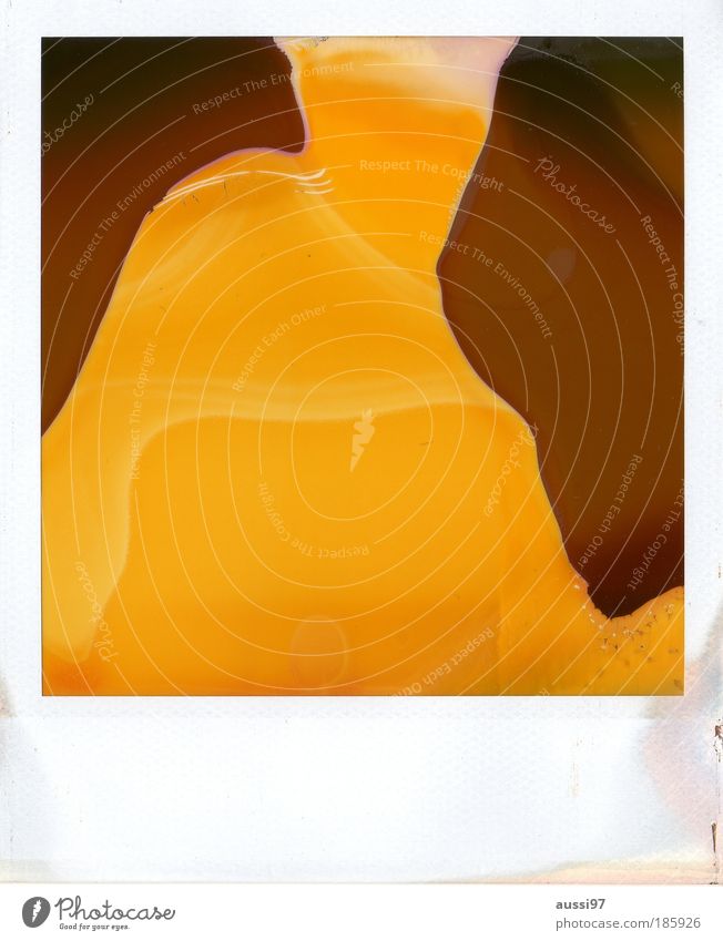 Happy birthday, photocase! Polaroid abstrakt zerlaufen abgelaufen Kunst Instantfilm braun gelb