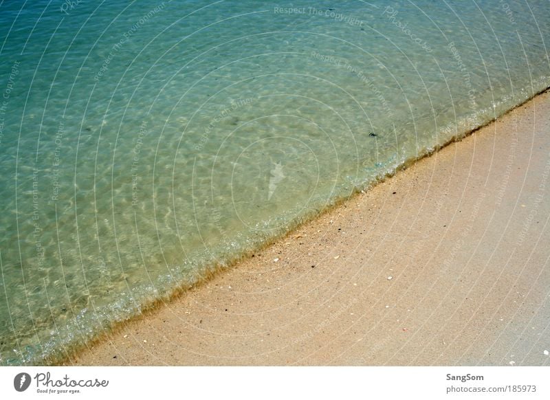 Happy Birthday, Photocase! Natur Sand Wasser Sommer Schönes Wetter Wärme Wellen Strand Meer Erholung Ferien & Urlaub & Reisen Farbfoto Außenaufnahme
