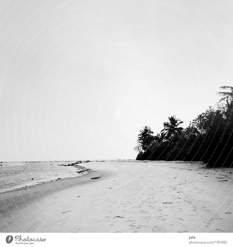 Happy Birthday Photocase! Natur Landschaft Sand Wasser Wolkenloser Himmel Pflanze Baum Strand Meer genießen Ferien & Urlaub & Reisen Indien Schwarzweißfoto