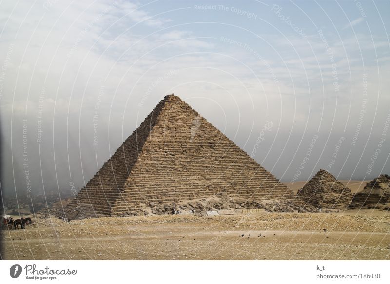Pyramiden Ferien & Urlaub & Reisen Ferne Sightseeing Sommer Sommerurlaub Wüste Gizeh Ägypten Sehenswürdigkeit Pyramiden von Gizeh Pferdekutsche alt historisch