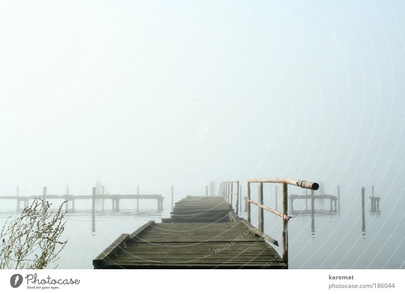 Brücke im Bodden Landschaft Wasser Himmel Herbst Nebel Küste Ostsee Insel Rügen Menschenleer Holz alt kaputt trist grau Traurigkeit Einsamkeit Trauer verfallen