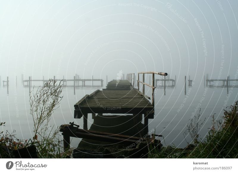 Brücke im Bodden Landschaft Herbst Nebel Küste Ostsee Insel Rügen Menschenleer Holz alt kaputt trist grau Trauer Einsamkeit Vorpommersche Boddenlandschaft