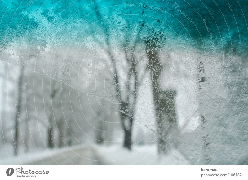 Schneefahrt Landschaft Winter Eis Frost Baum Autofahren Straße PKW Glas frieren hell kalt Idylle Windschutzscheibe Tropfen Wassertopfen Allee Gedeckte Farben