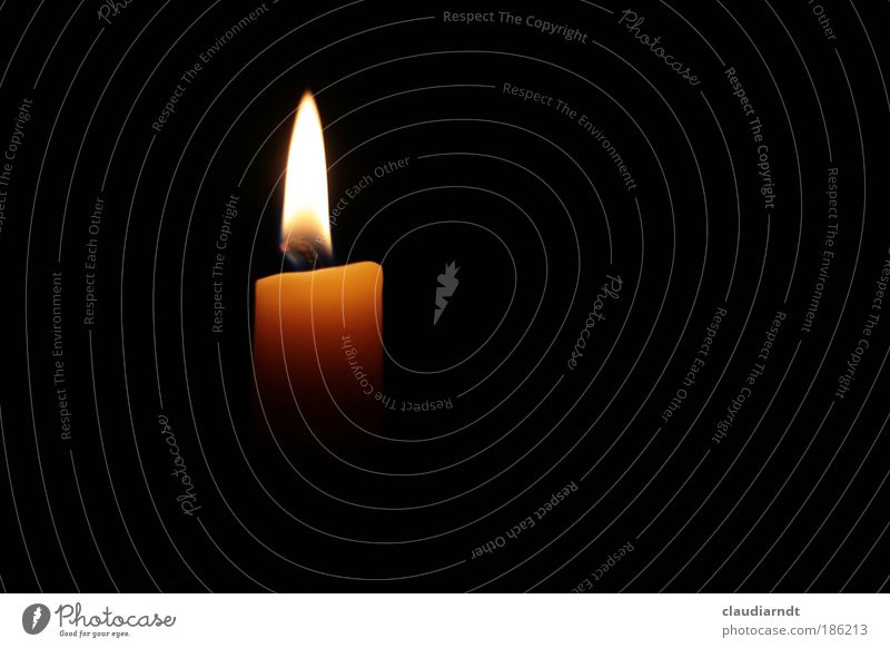 Licht, das die Nacht erhellt Trauerfeier Beerdigung Kerze Zeichen ästhetisch dunkel heiß gelb schwarz Vertrauen Geborgenheit Warmherzigkeit trösten Hoffnung