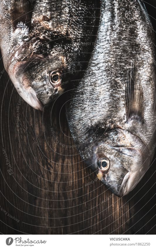 Zwei Dorado Fische hängen an dunklem Hintergrund Lebensmittel Bioprodukte Vegetarische Ernährung Diät Stil Design Freizeit & Hobby Angeln Essen zubereiten roh